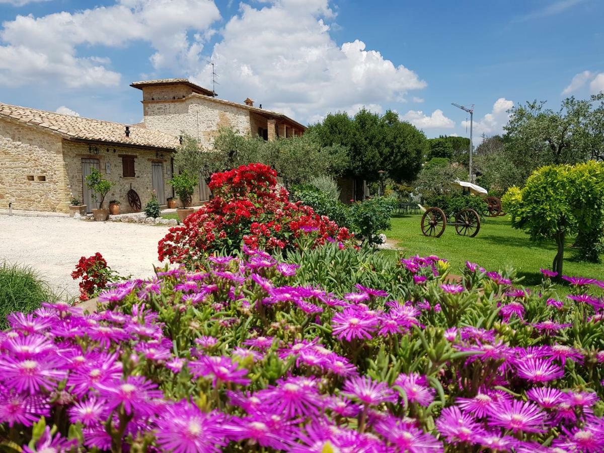 Agriturismo Arcobaleno Della Torretta Giano dellʼUmbria エクステリア 写真